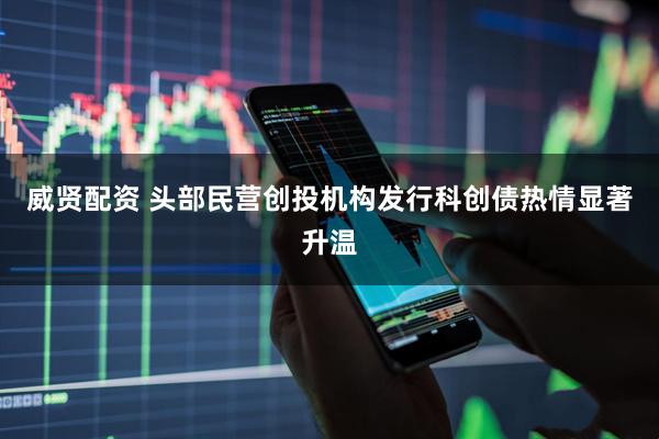 威贤配资 头部民营创投机构发行科创债热情显著升温